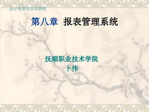 会计电算化实用教程第8章报表管理系统.ppt
