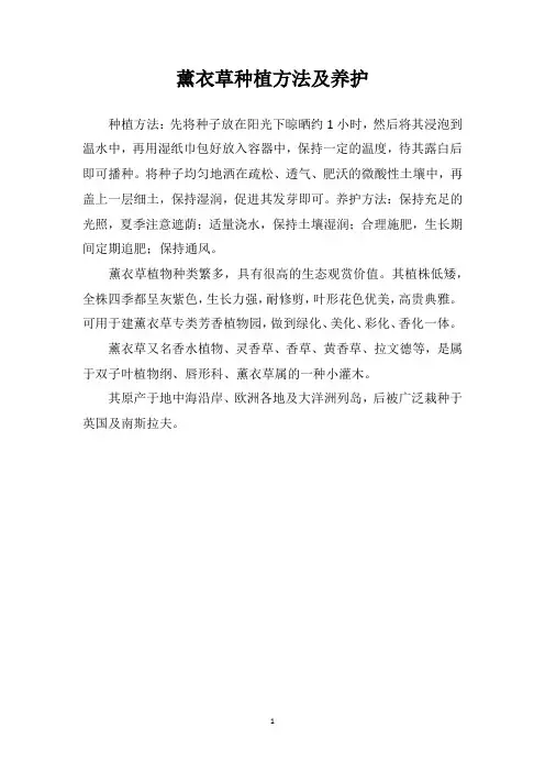 薰衣草种植方法及养护