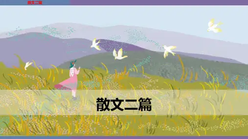 第16课《散文二篇》导学案课件部编版语文八年级上册