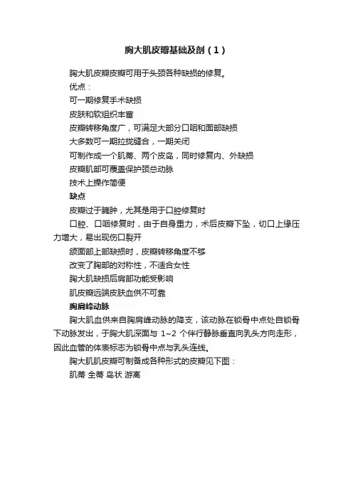 胸大肌皮瓣基础及剖（1）