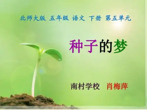 北师大版五年级下册种子的梦ppt