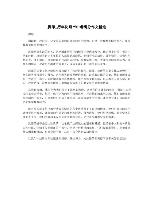 脚印_历年沈阳市中考满分作文精选