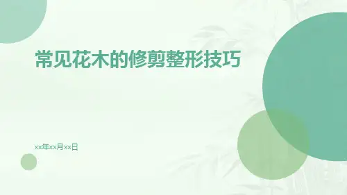 常见花木的修剪整形技巧