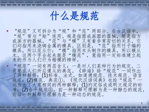 审计规范PPT参考幻灯片