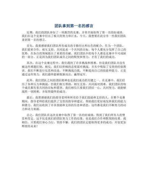 团队拿到第一名的感言