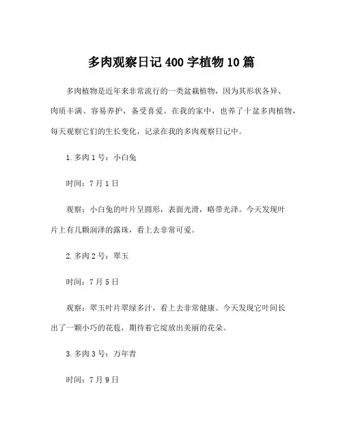 多肉观察日记400字植物10篇
