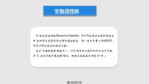 活性多肽简介PPT课件