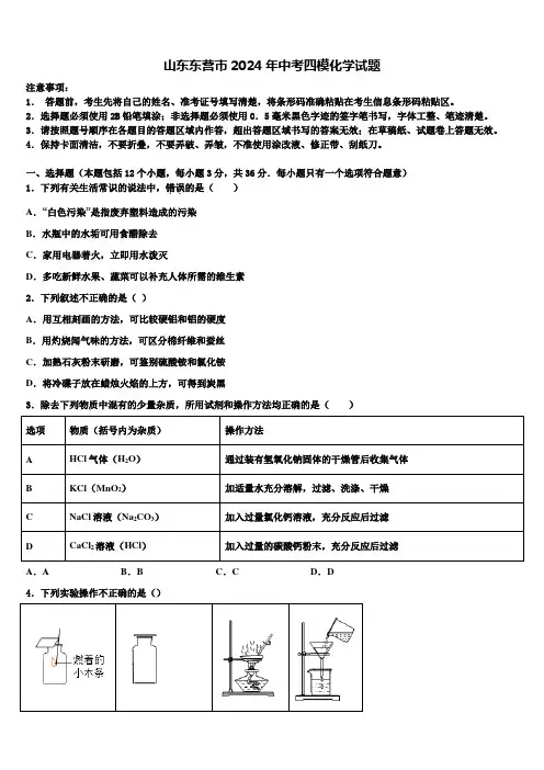 山东东营市2024届中考四模化学试题含解析