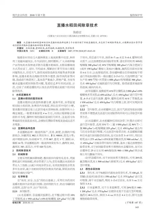 直播水稻田间除草技术