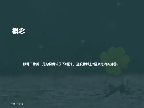 股骨干骨折的护理及健康教育