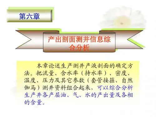 产出剖面测井信息综合分析
