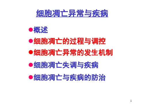 细胞凋亡