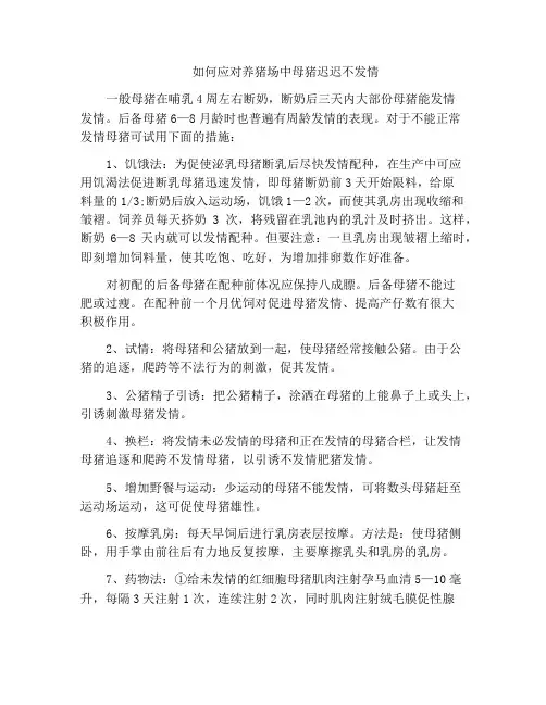 如何应对养猪场中母猪迟迟不发情