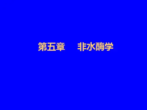 第五章非水酶学ppt课件