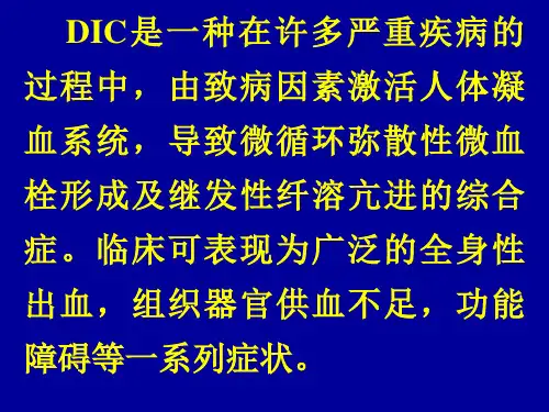 dic精美幻灯课件