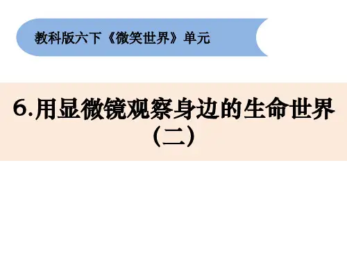 《用显微镜观察身边的生命世界(二)》小学科学六年级下册PPT课件