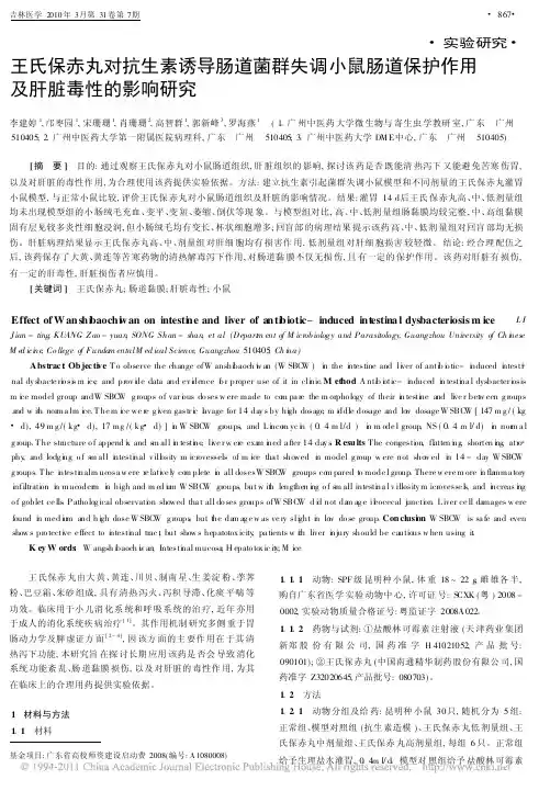 王氏保赤丸对抗生素诱导肠道菌群失调小鼠肠道保护作用及肝脏毒性的影响研究