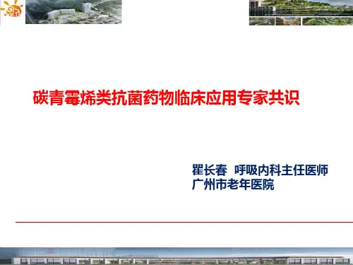 2020年碳青霉烯类抗菌药物临床应用专家共识