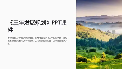《三年发展规划》课件