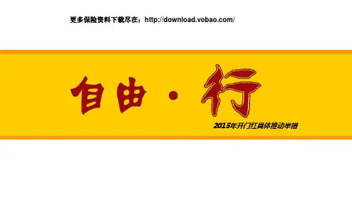 2015年保险公司开门红具体推动举措24页