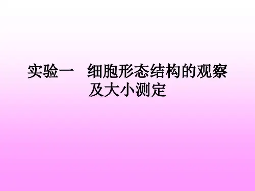实验一 细胞形态结构的观察及大小测定