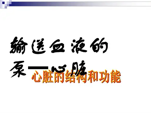 七年级生物下册443输送血液的泵心脏课件新版新人教版