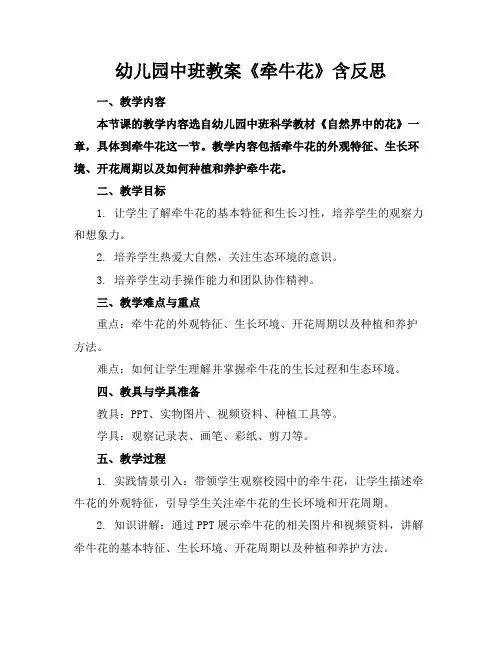 幼儿园中班教案《牵牛花》含反思