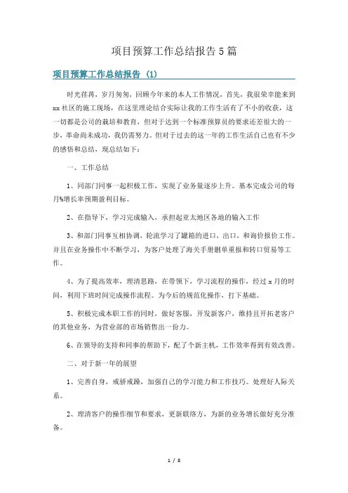 项目预算工作总结报告5篇