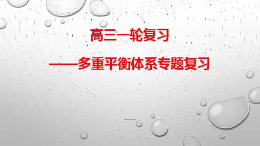 化学反应速率化学平衡多重平衡体系专题复习