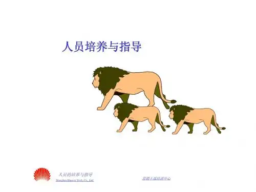 华为的营销培训教材