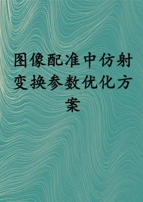 图像配准中仿射变换参数优化方案