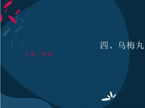 四乌梅丸优秀PPT资料