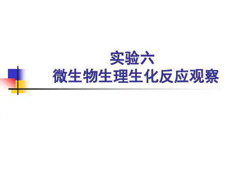 实验六 微生物生理生化反应观察