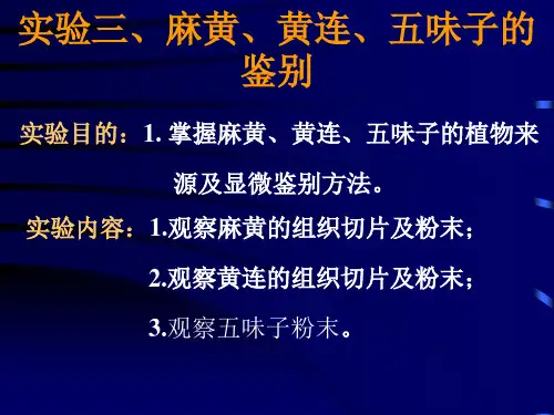 实验3-麻黄黄连五味子的鉴别