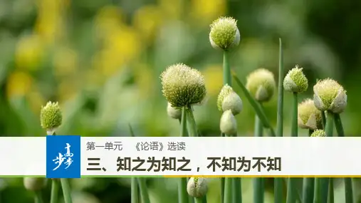 高中语文人教版选修《先秦诸子选读》课件第一单元《论语》选读三-