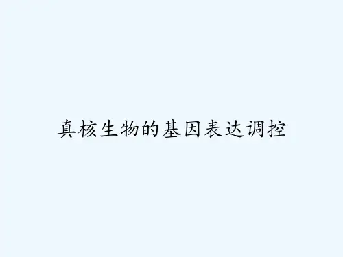 真核生物的基因表达调控