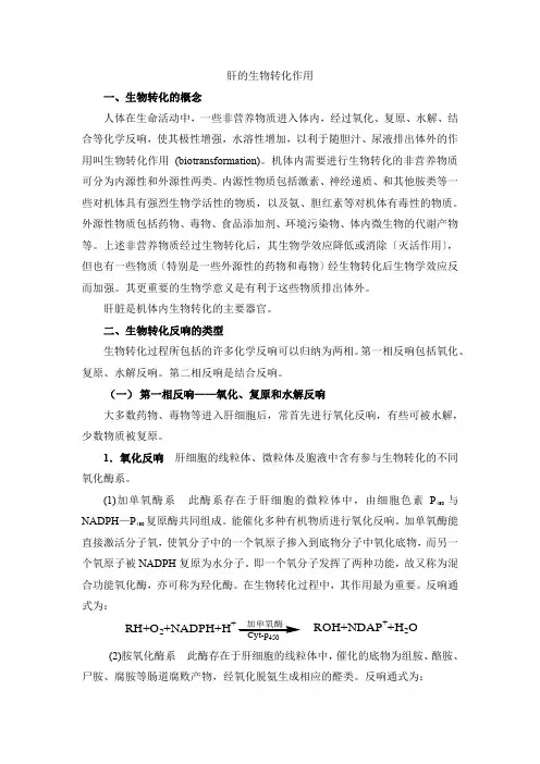 肝的生物转化作用