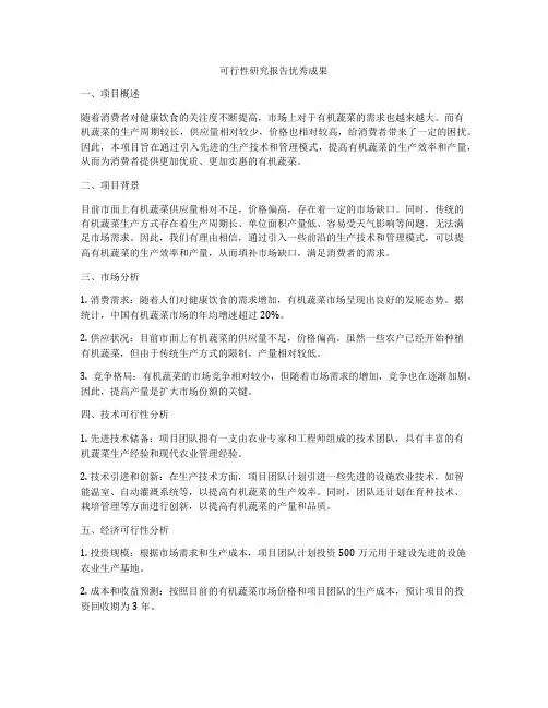 可行性研究报告优秀成果