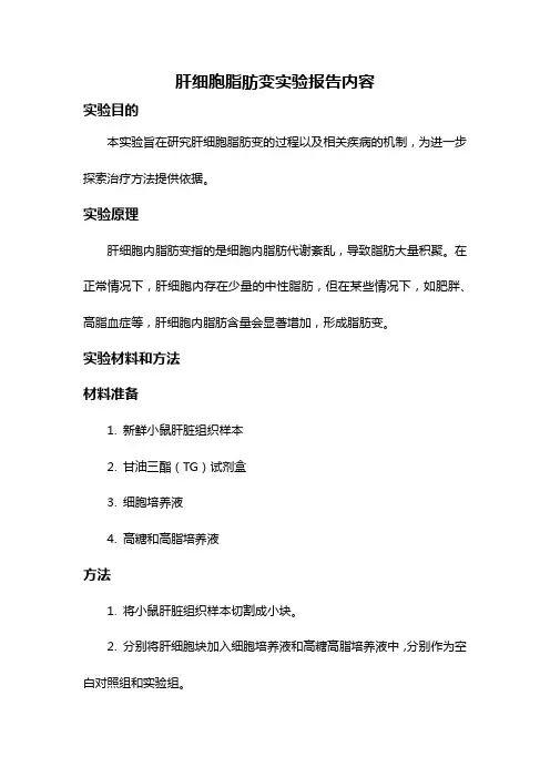 肝细胞脂肪变实验报告内容