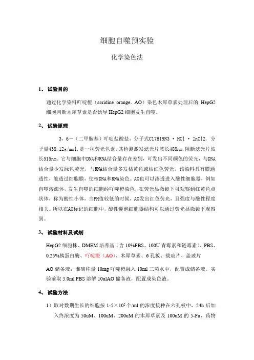 细胞自噬预实验