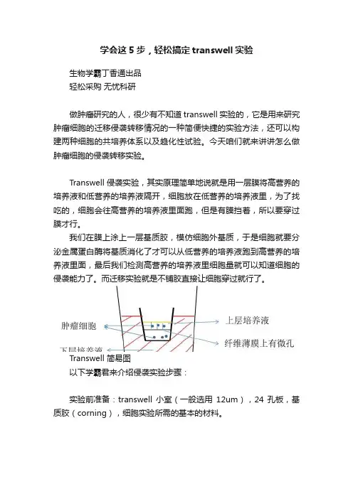 学会这5步，轻松搞定transwell实验