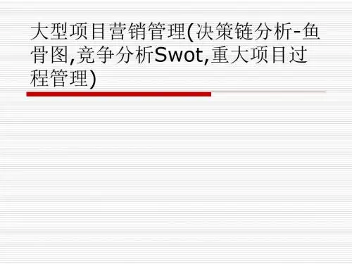 大型项目营销管理(决策链分析-鱼骨图,竞争分析Swot,重大项目过程管理).ppt