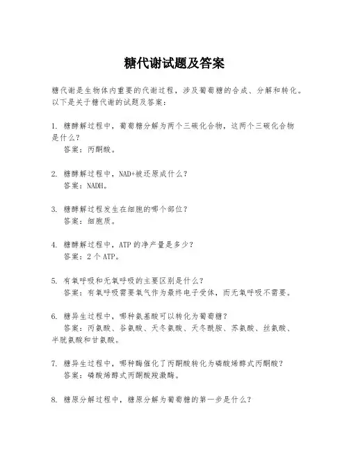 糖代谢试题及答案