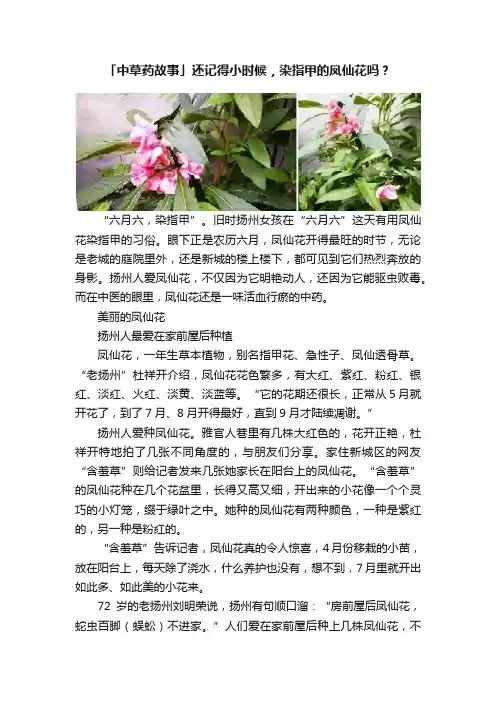 「中草药故事」还记得小时候，染指甲的凤仙花吗？