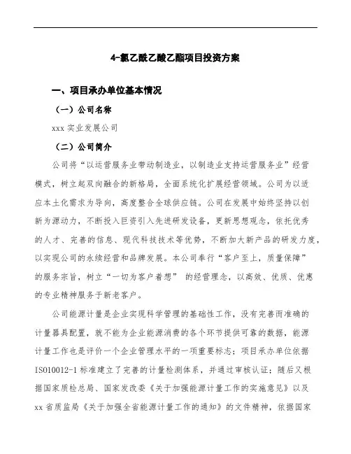 4-氯乙酰乙酸乙酯项目投资方案(项目汇报说明)