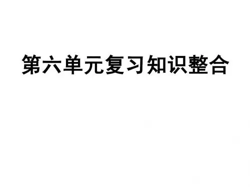 第六单元知识复习整合