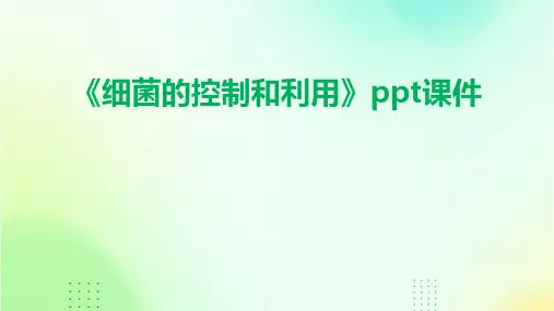 《细菌的控制和利用》课件