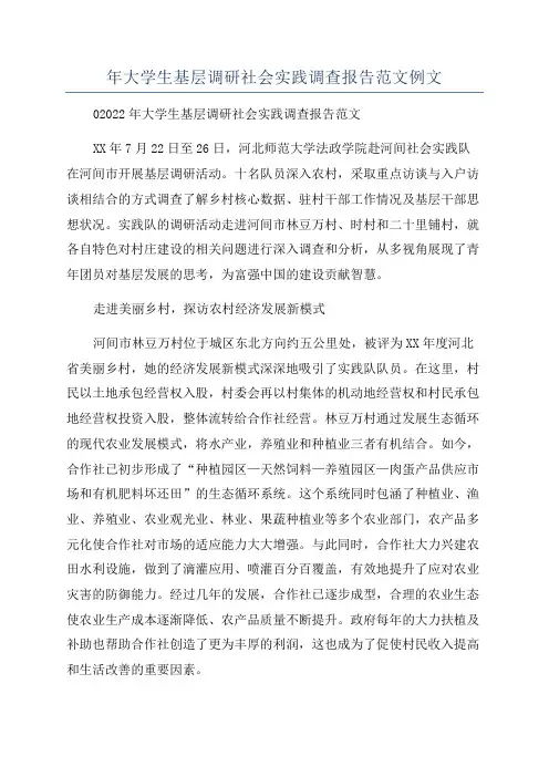 年大学生基层调研社会实践调查报告范文例文