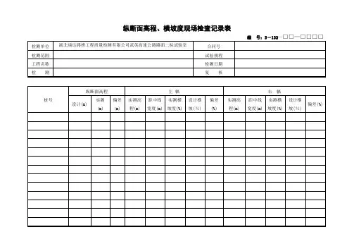 纵断面高程、横坡现场检查记录表