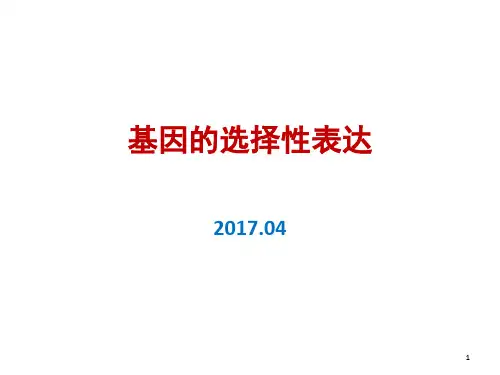 基因的选择性表达(课堂PPT)